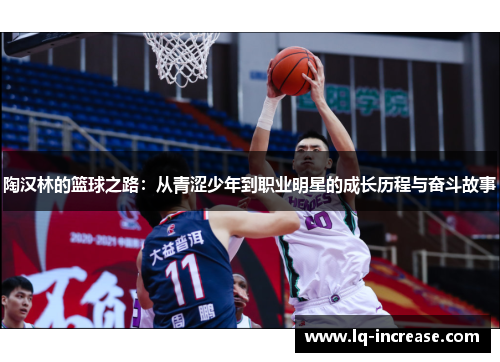 陶汉林的篮球之路：从青涩少年到职业明星的成长历程与奋斗故事